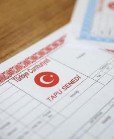 17496610801469299806