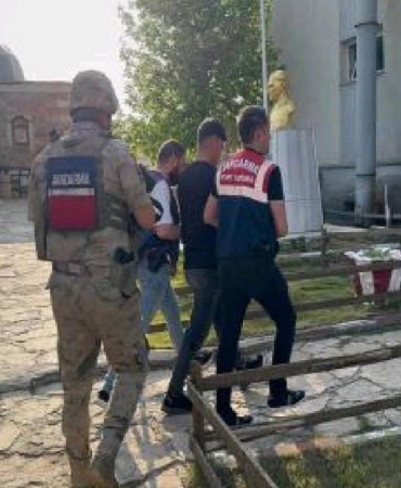 17496804921939618165