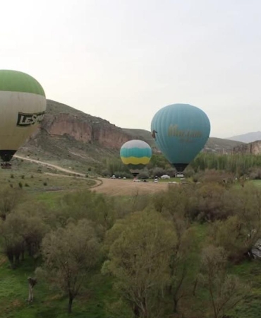 17500095231141655069