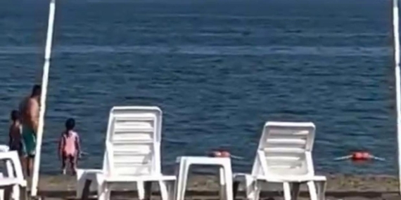 Mersin Kocahasanlı Sahili’nde Köpekbalığı Alarmı: Plaj Boşaltıldı!