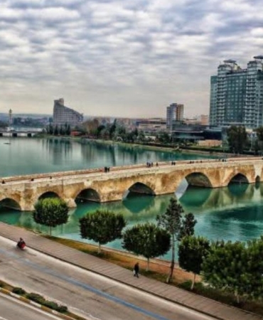 17500396541012604818