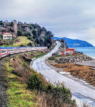 17502179171468659571