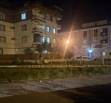 17502180391127674494