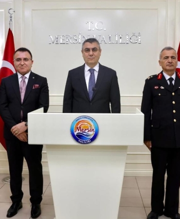 17503880661418941741