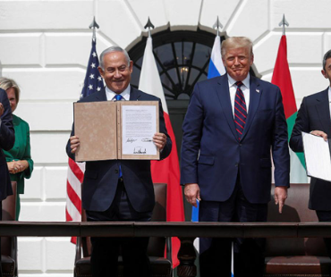 17503880862050453142