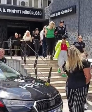 17503882501643654774