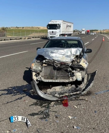 17511148891649318076