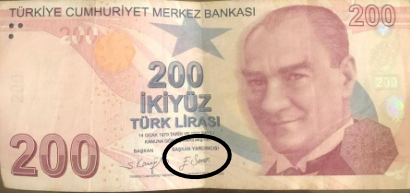 17617557421341970141