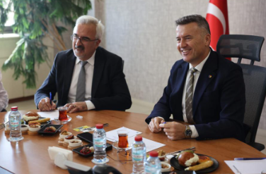 17617559311521940301