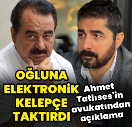 17628068681154866252